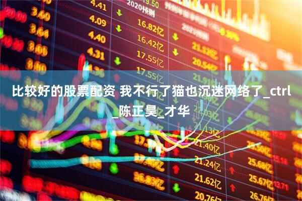比较好的股票配资 我不行了猫也沉迷网络了_ctrl_陈正昊_才华