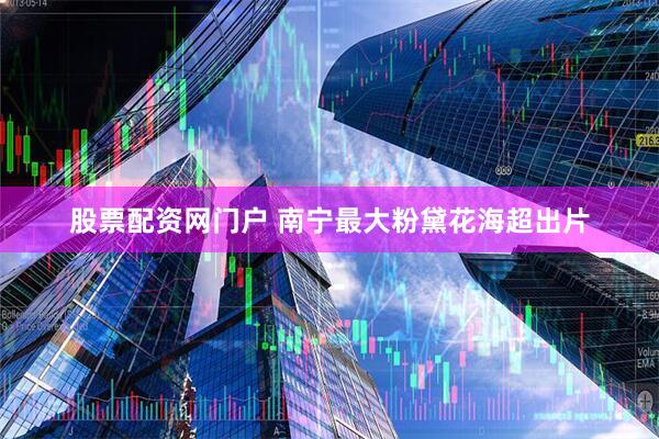 股票配资网门户 南宁最大粉黛花海超出片